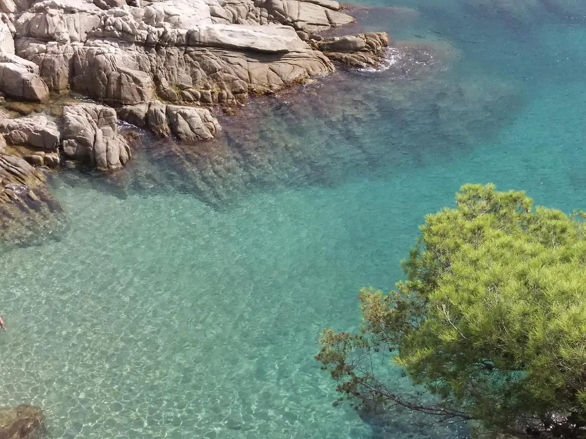 Apartamento La Bastida de Calonge Sant Antoni De Calonge